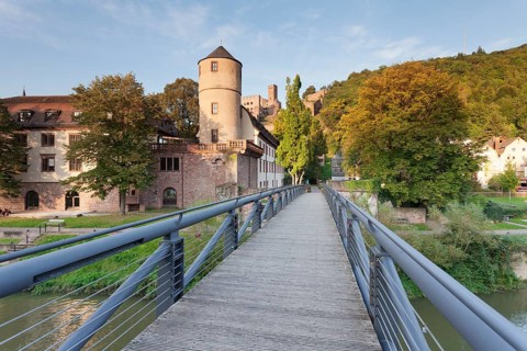 View over the Tauber to the former Princely royal household