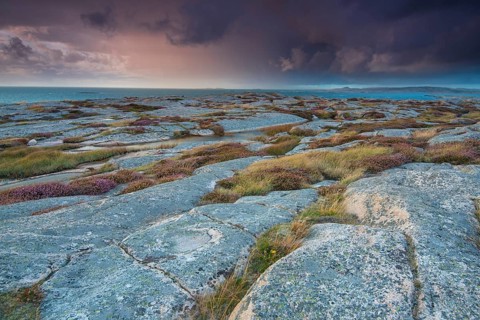 Rocks