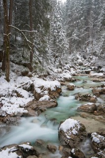 Winter in the Ramsauer Ache in the Zauberwald forest