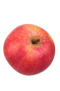 Apple variety Ruhm aus Kelsterbach