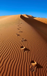 Footsteps in the Sahara sand dunes of Erg Chebbi