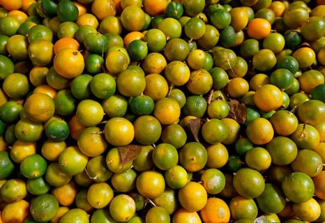 Limes (Citrus aurantiifolia) for sale at a market in Indonesia