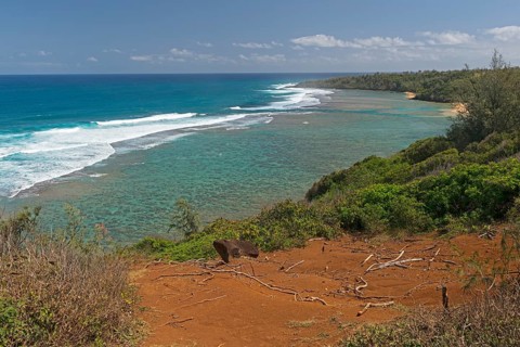 View of the coast from the Pila'a Lookout