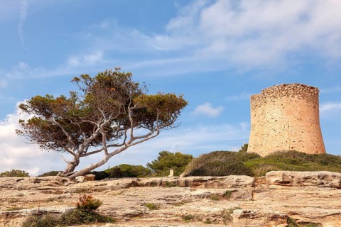 Torre de Cala Pi