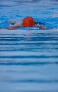 Swimmer