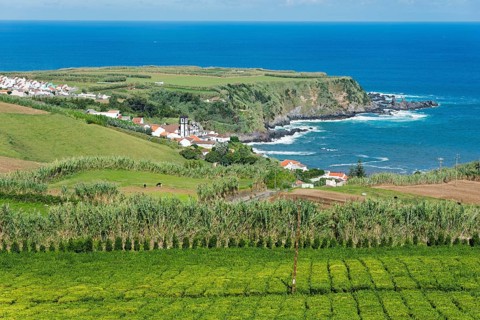 Coastline