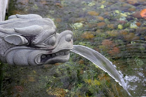 Gargoyle with a dragon face