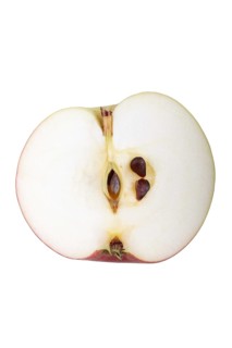 Apple variety Lusatian Clove Apple