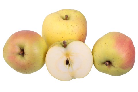 Apple variety Yellow Bellefleur with cut apple
