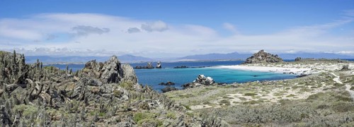Bay with a white sandy beach on Damas Island