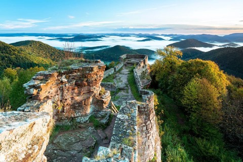 View of the Palatinate Forest from Wegelnburg Castle