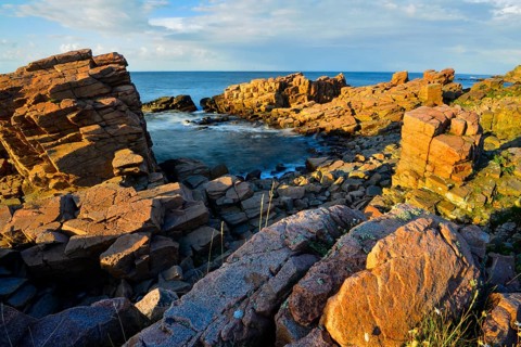 Evening at the Hovs Hallar coastline