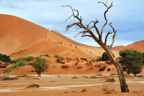 Tourists climbing the dunes of Sossusvlei