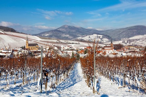 Birkweiler wine village