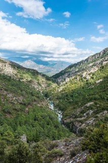 Riverbed of the Tavignano