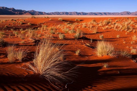 Southern foothills of the Namib desert