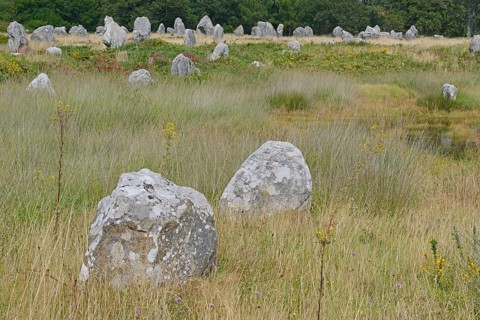 Carnac stones
