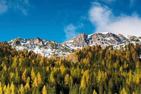 Autumn in the Riedingtal Nature Park