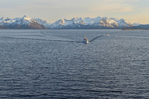 Ship in the Sortlandsund