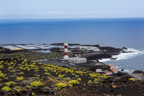 Coastline with Teneguia saltworks
