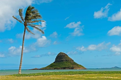 Chinaman's Hat