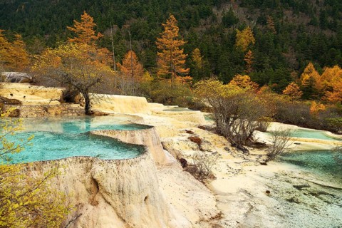 Lime terraces with lake in autumnal environment
