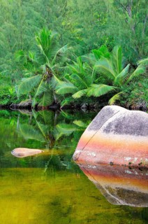 Rocks in the lagoon