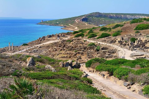 Excavations of the ancient city Tharros