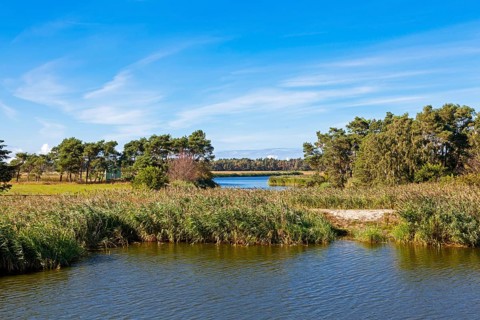 Typical Western Pomeranian Boddenlandscape