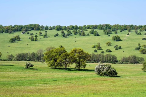 Certoryje National Nature Reserve and Vojsice meadows