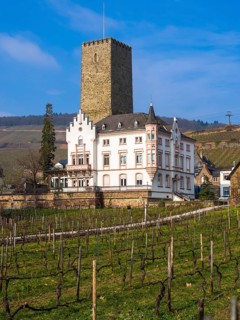 Boosenburg