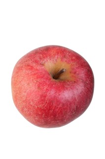 Apple variety Swiss Orange Apple