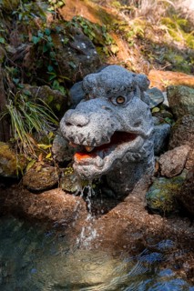 Dragonhead as gargoyle