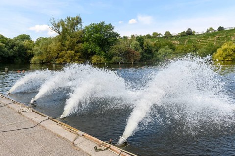 Ventilation of Lake Max-Eyth due to fish mortality
