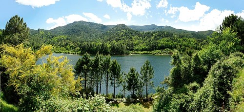 Reservoir