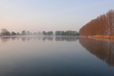 Ponds