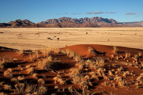 Elim Dune