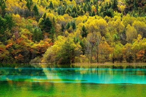 Five Flower Lake in autumnal environment
