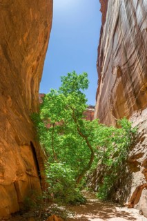 Small gorge