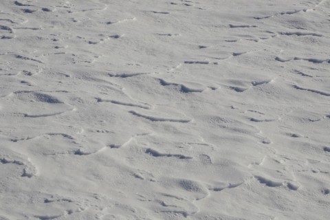 Wind-blown snow on the ground