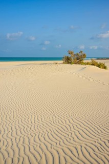 Amak beach