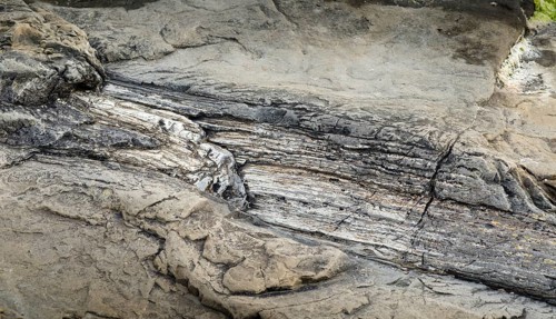 Petrified tree stump