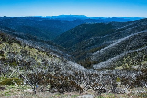 Overlooking the Victorian Alps mountain range