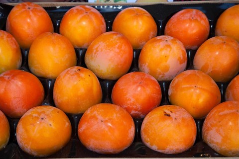 Persimmons (Diospyros kaki) in a fruit crate