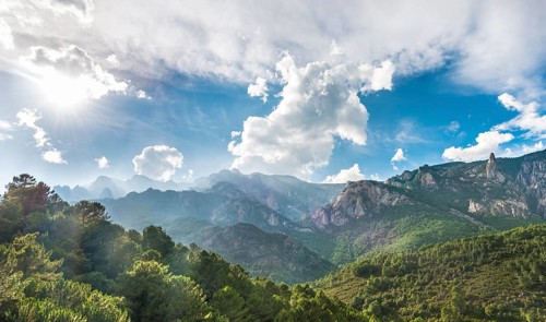 Rocky landscape with pines and cloudy sky