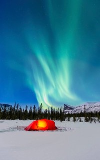 Northern Lights (Aurora borealis) above a red illuminated tent in winter