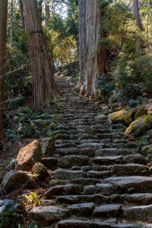 Old stony path
