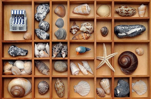 Shells