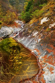 Wild river in autumn landscape