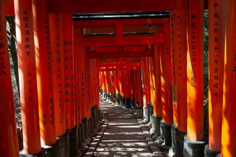 Fushimi Inari Taisha